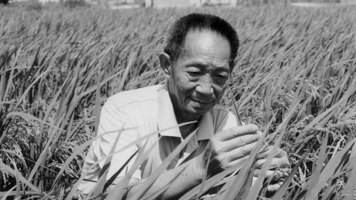 沉痛哀悼！袁隆平院士逝世